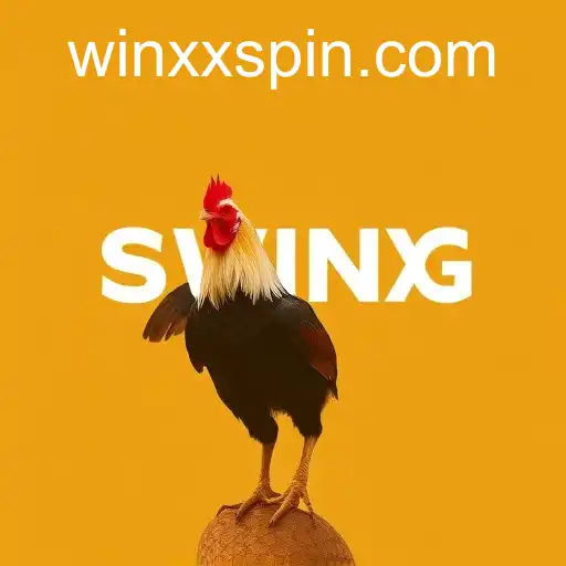 Security and Trust WINXX - International Licenses and Certifications